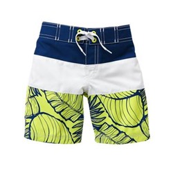 Colorblock Board Shorts