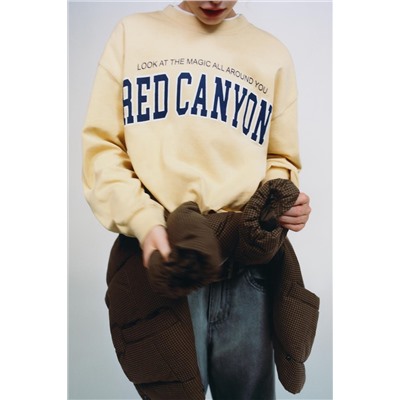 VARSITY T-SHIRT