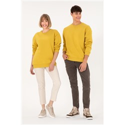 Erkek Sarı Basic Sweatshirt