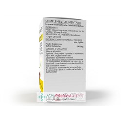 ArkoPharma ArkoGélules - Queue de Cerise - Elimination de l'Eau - 45 gélules