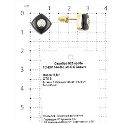 Подвеска из золочёного серебра с керамикой и фианитом 925 пробы TC-P01144-B-L-W-X-X
