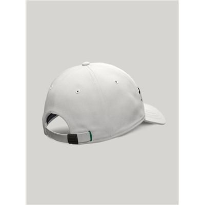 Flag Stripe Logo Baseball Cap