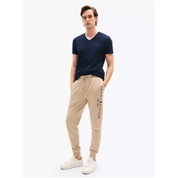 Slim Fit V-Neck T-Shirt