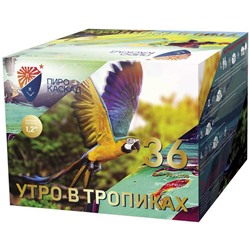Фейерверк PKU4100 Утро в тропиках (1,2" х 36)