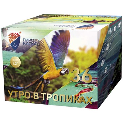 Фейерверк PKU4100 Утро в тропиках (1,2" х 36)