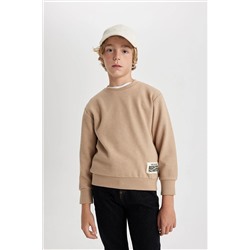 Defacto Erkek Çocuk Regular Fit Bisiklet Yaka Sweatshirt B3897A823WN