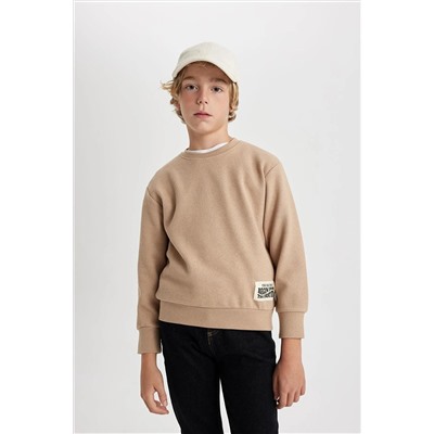 Defacto Erkek Çocuk Regular Fit Bisiklet Yaka Sweatshirt B3897A823WN