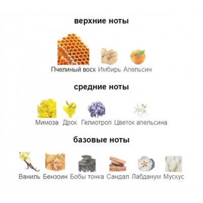 ZOOLOGIST BEE 60ml parfume + стоимость флакона