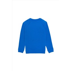 Erkek Çocuk Kobalt Mavi Basic Sweatshirt