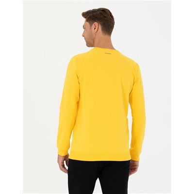 Sarı Regular Fit Sweatshirt