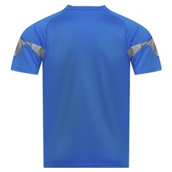 PUMA teamFINAL Herren Trikot 657379-02