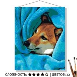 «ГОЛУБОЙ ПЛЕД»