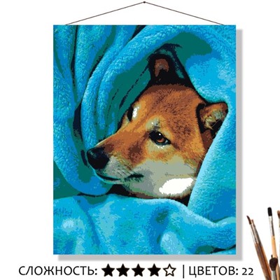 «ГОЛУБОЙ ПЛЕД»