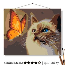 «ИНТЕРЕСНАЯ»