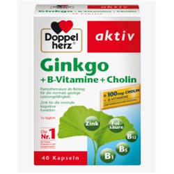 Ginkgo + B-Vitamine + Cholin Kapseln 40 St., 22,2 g