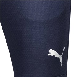 PUMA teamFINAL Herren Trainingshose 657380-06