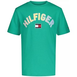 Tommy Hilfiger Big Boys Moving Shades Short Sleeve T-shirt