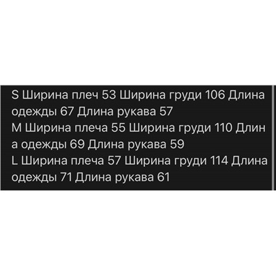 Толстовка худи с начесом  Chrom*e Heart*s