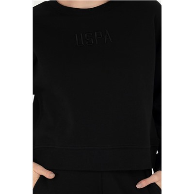 Kadın Siyah Bisiklet Yaka Sweatshirt