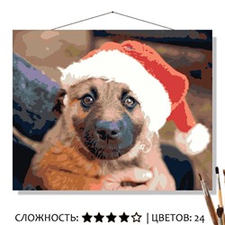 «В НОВОГОДНЕМ КОЛПАЧКЕ»