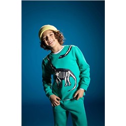 Defacto Erkek Çocuk 3d Baskılı Bisiklet Yaka Sweatshirt V9794A622WN