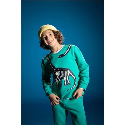 Defacto Erkek Çocuk 3d Baskılı Bisiklet Yaka Sweatshirt V9794A622WN