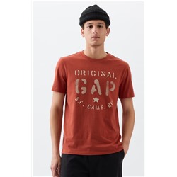 Everyday Soft Gap Graphic T-Shirt