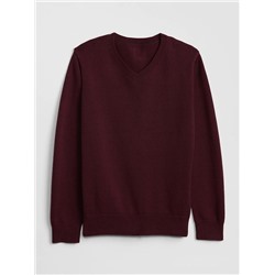 Kids Uniform V-Neck Sweater