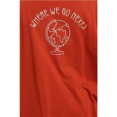 Kiremit %100 Pamuk Sırt Baskılı Rahat Kesim Bisiklet Yaka Örme T-Shirt TBBSS24BF00025