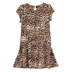 Leopard Print Dress