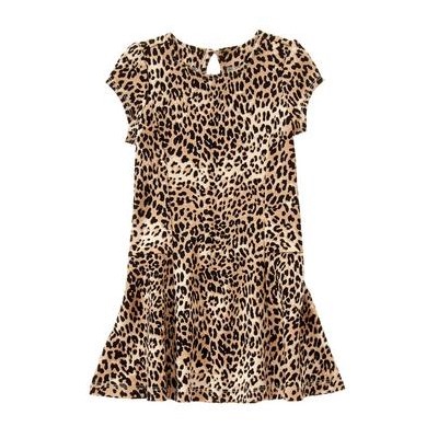 Leopard Print Dress