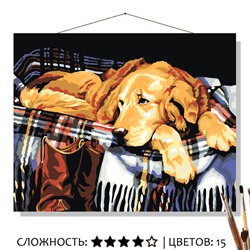 «ДОМАШНИЙ УЮТ»