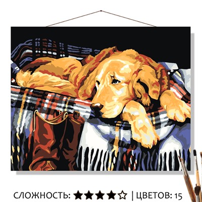 «ДОМАШНИЙ УЮТ»