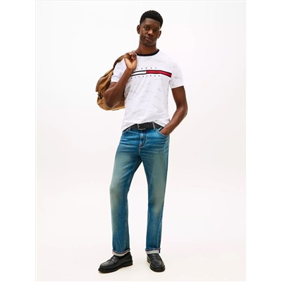 Signature Flag Stripe Logo T-Shirt