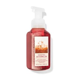 COASTAL WATERMELON Gentle Foaming Hand Soap