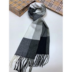 Шарф мужской (180*30 см.) арт. 273259
