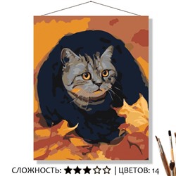 «ТЁПЛЫЙ ШАРФ»