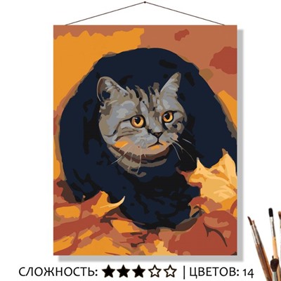 «ТЁПЛЫЙ ШАРФ»