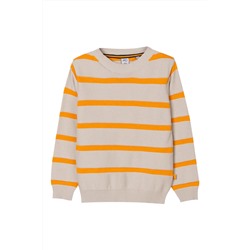 Jersey Gris y mostaza