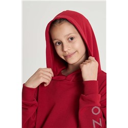Костюм (худи+брюки) #687309