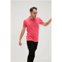 Bad Bear, BASIC POLO GYPSY