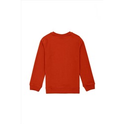 Erkek Çocuk Kiremit Basic Sweatshirt