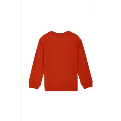 Erkek Çocuk Kiremit Basic Sweatshirt