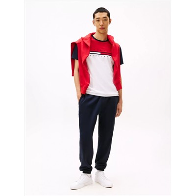 Colorblock Flag Stripe Logo T-Shirt