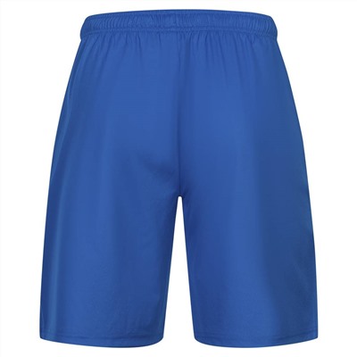 PUMA teamLIGA Herren Shorts 704924-35