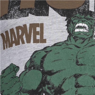 HULK Rage MARVEL Herren T-Shirt FBMTS310SPO