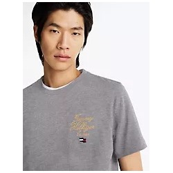 Embroidered Hilfiger Script T-Shirt