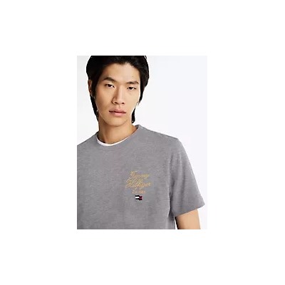 Embroidered Hilfiger Script T-Shirt