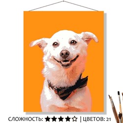«ЛАКИ»