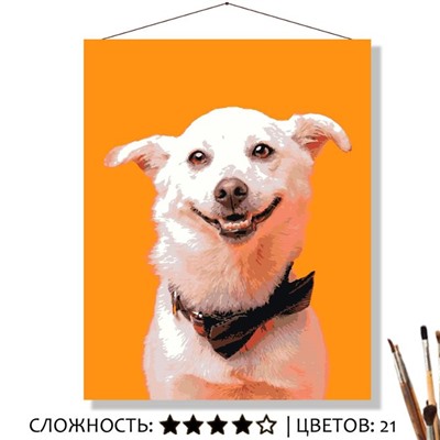 «ЛАКИ»